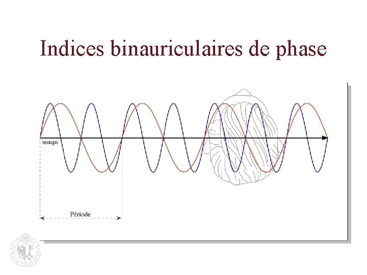 Indices binauriculaires de phase 