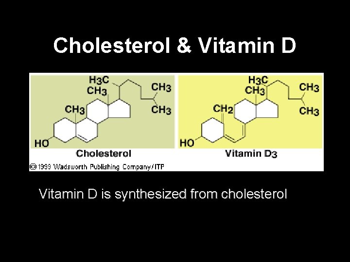 Cholesterol & Vitamin D is synthesized from cholesterol Cholesterol & Vitamin D is synthesized from cholesterol