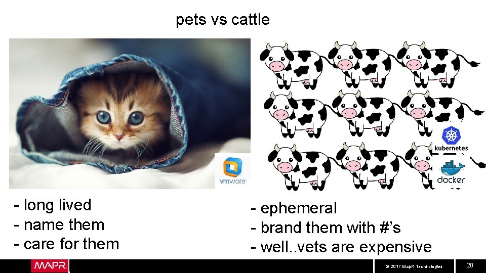 pets vs cattle - long lived - name them - care for them -