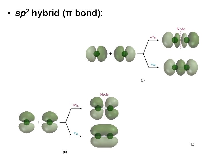  • sp 2 hybrid (π bond): 14 