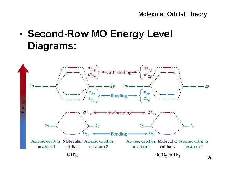 Molecular Orbital Theory • Second-Row MO Energy Level Diagrams: 25 
