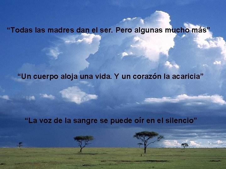 “Todas las madres dan el ser. Pero algunas mucho más” “Un cuerpo aloja una