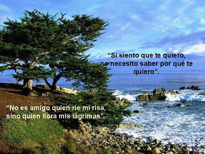 “Si siento que te quiero, no necesito saber por qué te quiero”. “No es