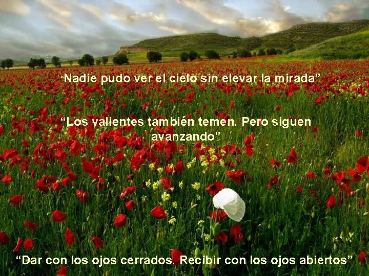 “Nadie pudo ver el cielo sin elevar la mirada” “Los valientes también temen. Pero