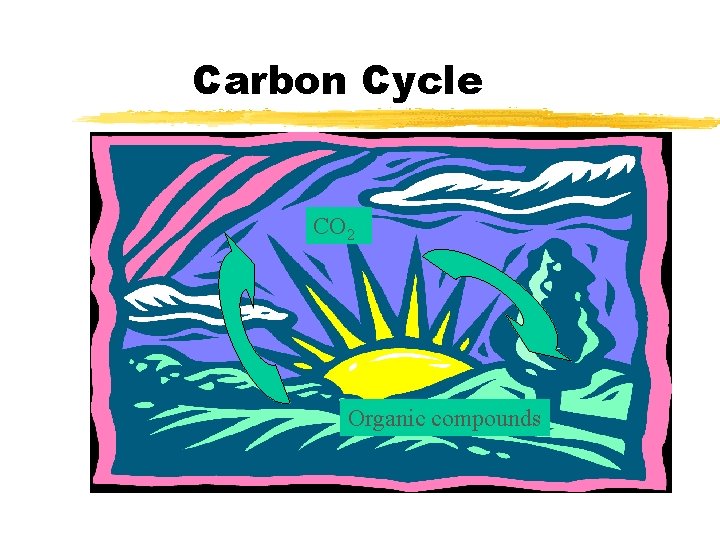 Carbon Cycle CO 2 Organic compounds 