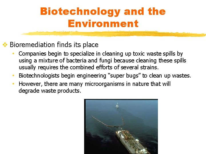 Biotechnology and the Environment v Bioremediation finds its place • Companies begin to specialize