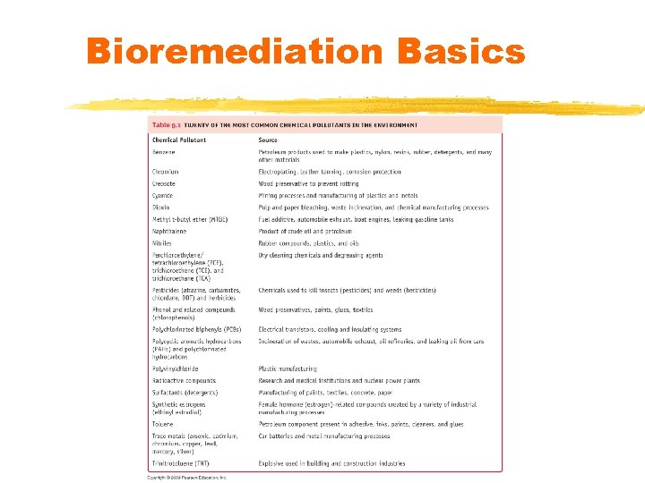 Bioremediation Basics 