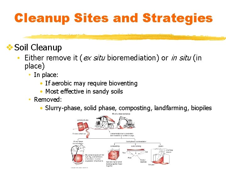 Cleanup Sites and Strategies v Soil Cleanup • Either remove it (ex situ bioremediation)