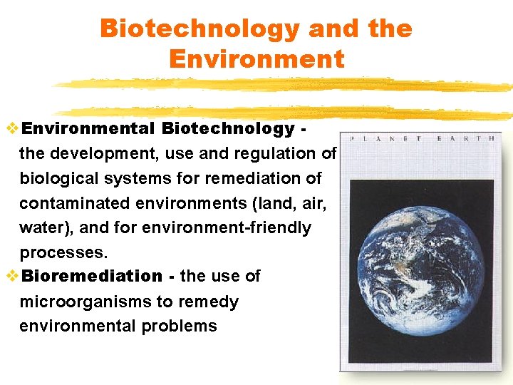 Biotechnology and the Environment v. Environmental Biotechnology the development, use and regulation of biological