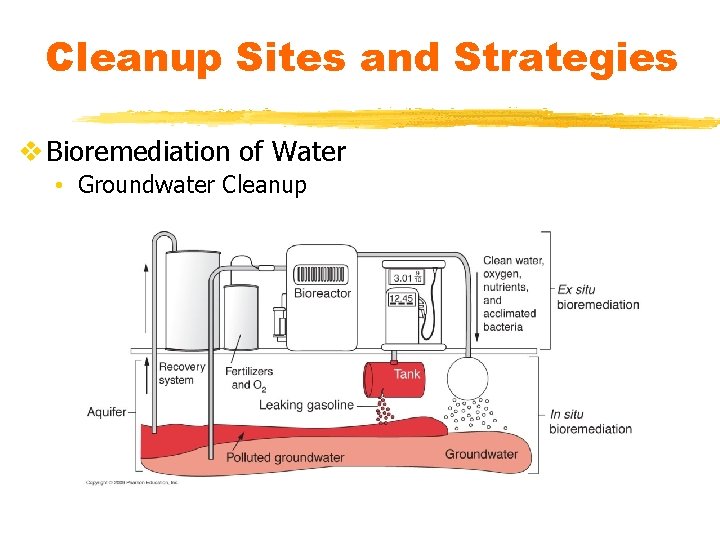 Cleanup Sites and Strategies v Bioremediation of Water • Groundwater Cleanup 