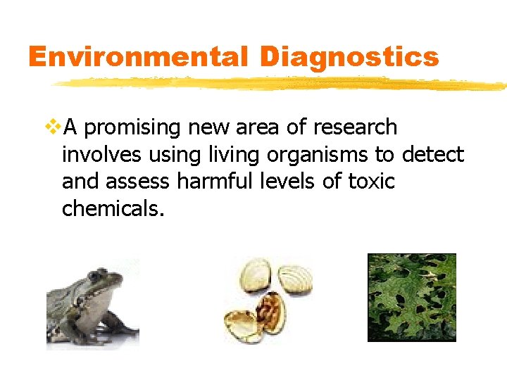 Environmental Diagnostics v. A promising new area of research involves using living organisms to