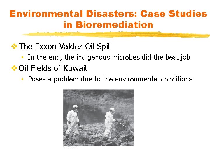 Environmental Disasters: Case Studies in Bioremediation v The Exxon Valdez Oil Spill • In
