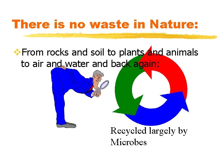 There is no waste in Nature: v. From rocks and soil to plants and