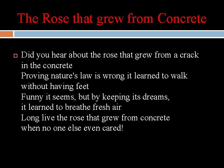 The Rose that grew from Concrete Did you hear about the rose that grew
