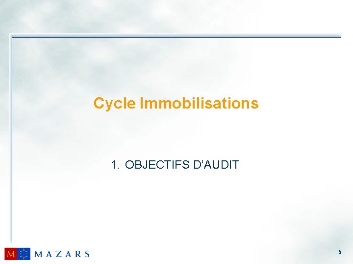 Cycle Immobilisations 1. OBJECTIFS D’AUDIT 5 
