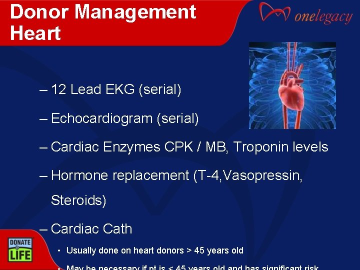 Donor Management Heart – 12 Lead EKG (serial) – Echocardiogram (serial) – Cardiac Enzymes