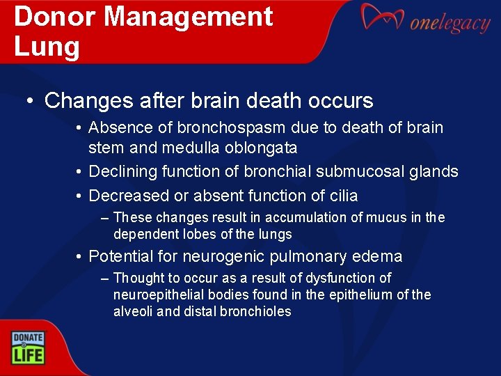 Donor Management Lung • Changes after brain death occurs • Absence of bronchospasm due