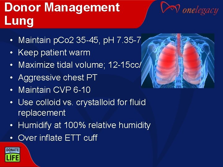 Donor Management Lung • • • Maintain p. Co 2 35 -45, p. H