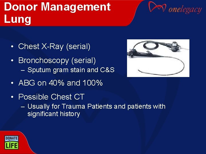 Donor Management Lung • Chest X-Ray (serial) • Bronchoscopy (serial) – Sputum gram stain