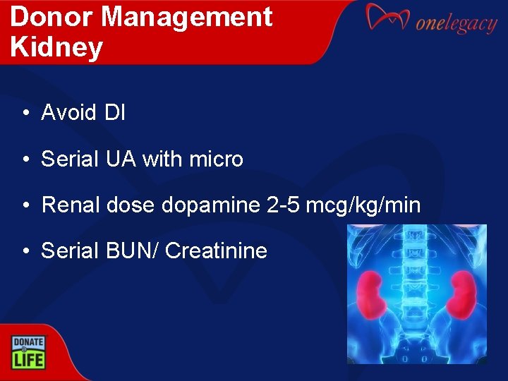 Donor Management Kidney • Avoid DI • Serial UA with micro • Renal dose