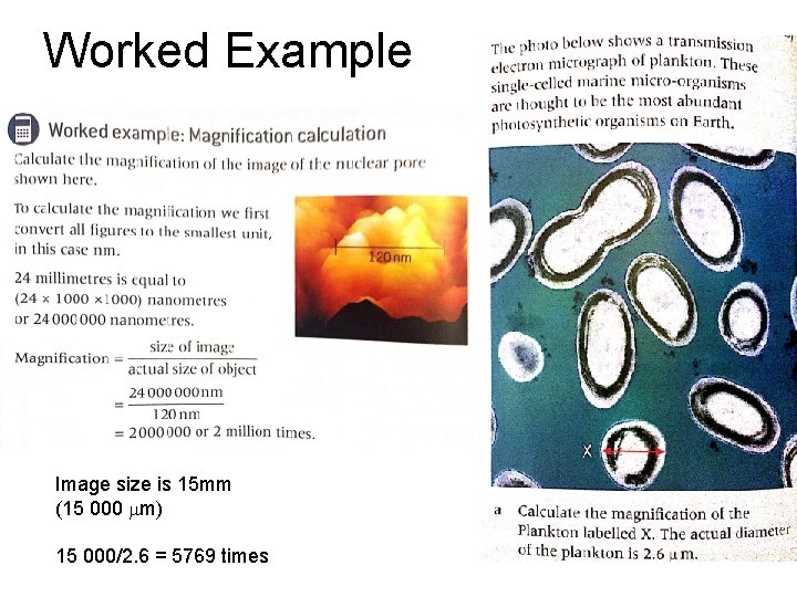 Worked Example Image size is 15 mm (15 000 mm) 15 000/2. 6 =