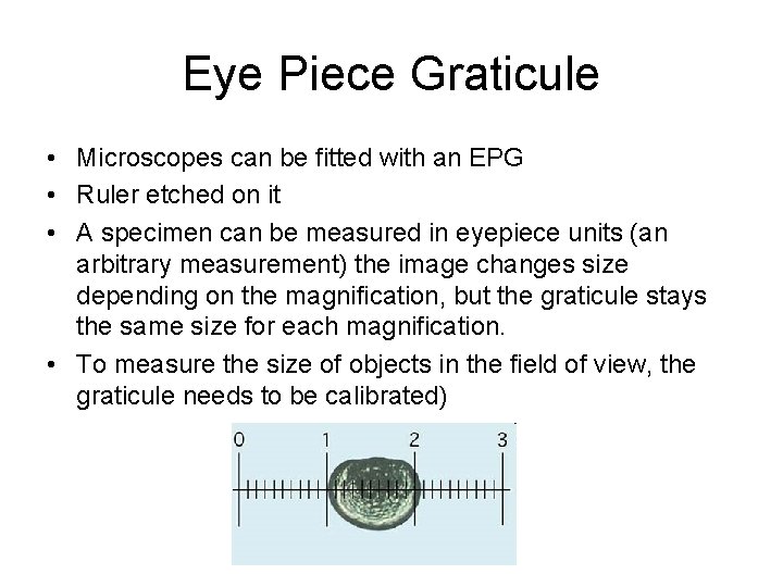 Eye Piece Graticule • Microscopes can be fitted with an EPG • Ruler etched