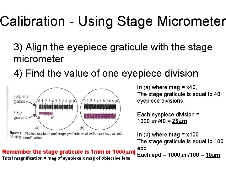 Calibration - Using Stage Micrometer 3) Align the eyepiece graticule with the stage micrometer