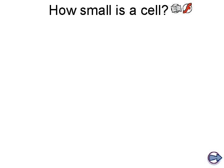 How small is a cell? 