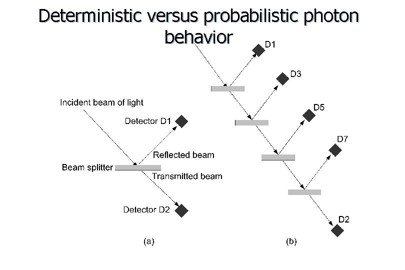 Deterministic versus probabilistic photon behavior 