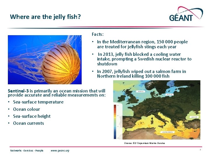 Where are the jelly fish? Facts: • In the Mediterranean region, 150 000 people