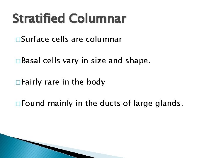Stratified Columnar � Surface cells are columnar � Basal cells vary in size and