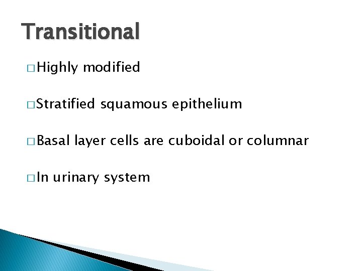Transitional � Highly modified � Stratified � Basal � In squamous epithelium layer cells