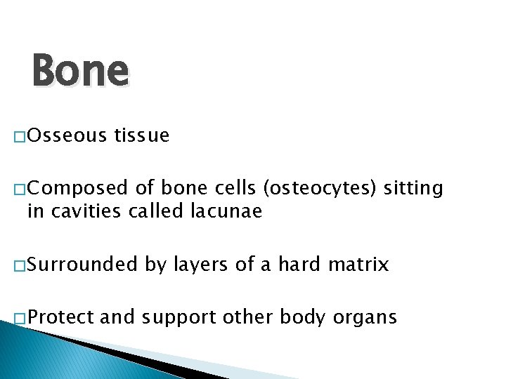 Bone � Osseous tissue � Composed of bone cells (osteocytes) sitting in cavities called