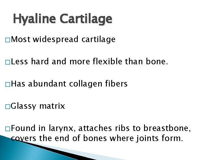 Hyaline Cartilage � Most � Less � Has widespread cartilage hard and more flexible