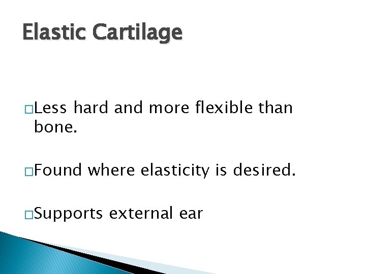 Elastic Cartilage �Less hard and more flexible than bone. �Found where elasticity is desired.