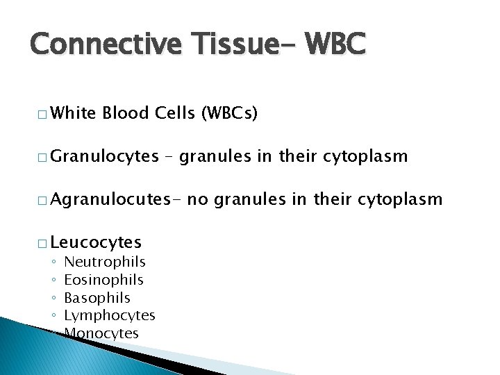 Connective Tissue- WBC � White Blood Cells (WBCs) � Granulocytes – granules in their