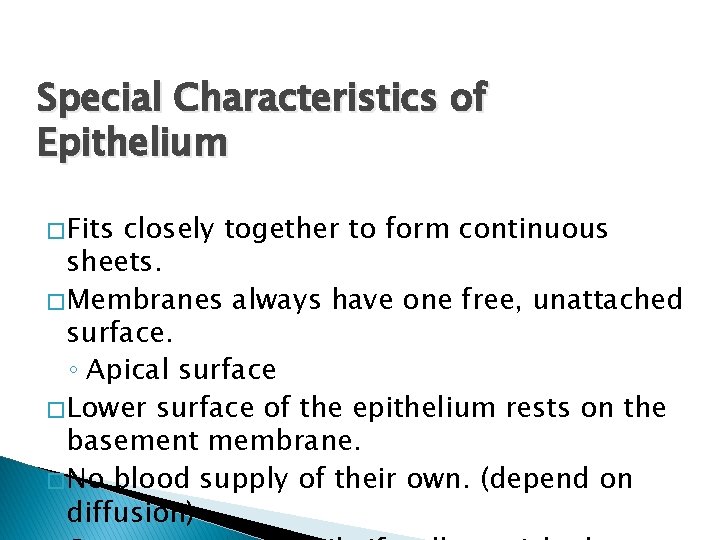 Special Characteristics of Epithelium � Fits closely together to form continuous sheets. � Membranes