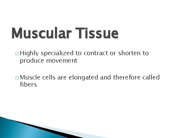 Muscular Tissue � Highly specialized to contract or shorten to produce movement � Muscle