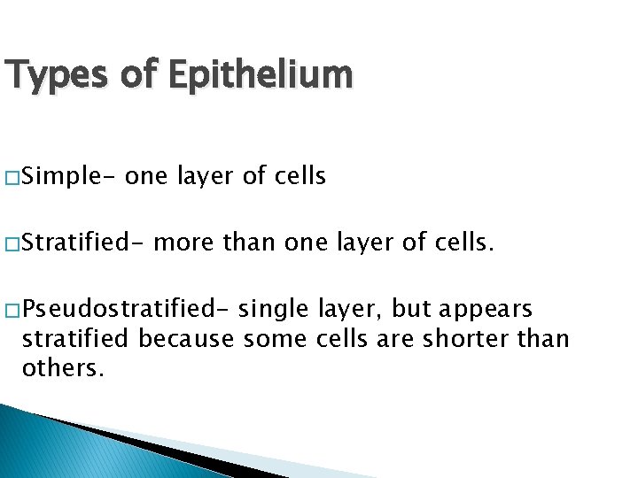 Types of Epithelium � Simple- one layer of cells � Stratified- more than one