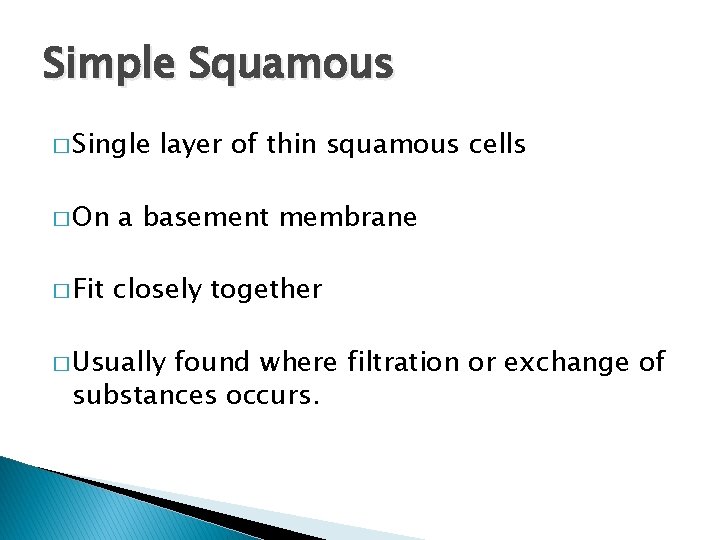 Simple Squamous � Single layer of thin squamous cells � On a basement membrane