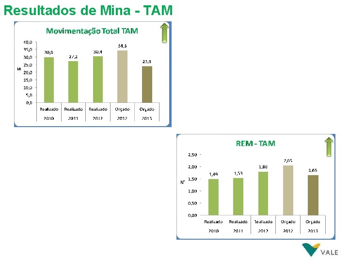 Resultados de Mina - TAM Mt 