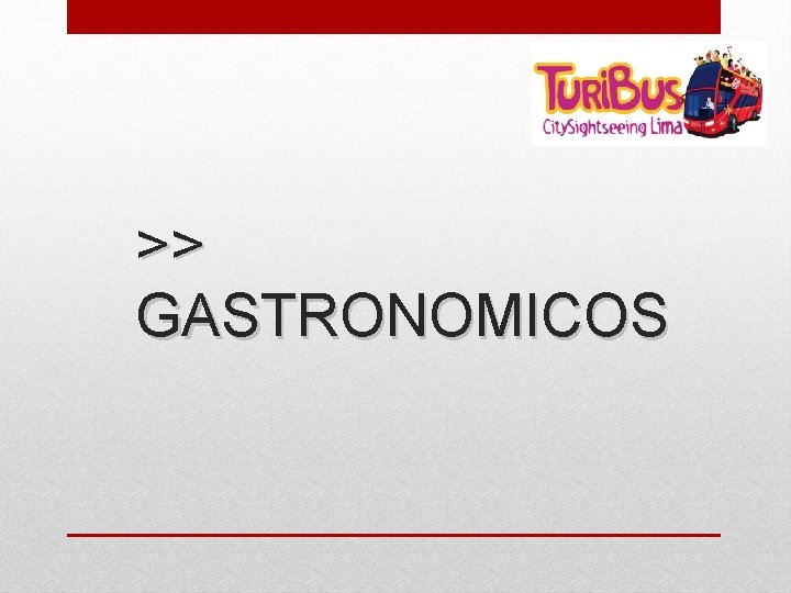 >> GASTRONOMICOS 