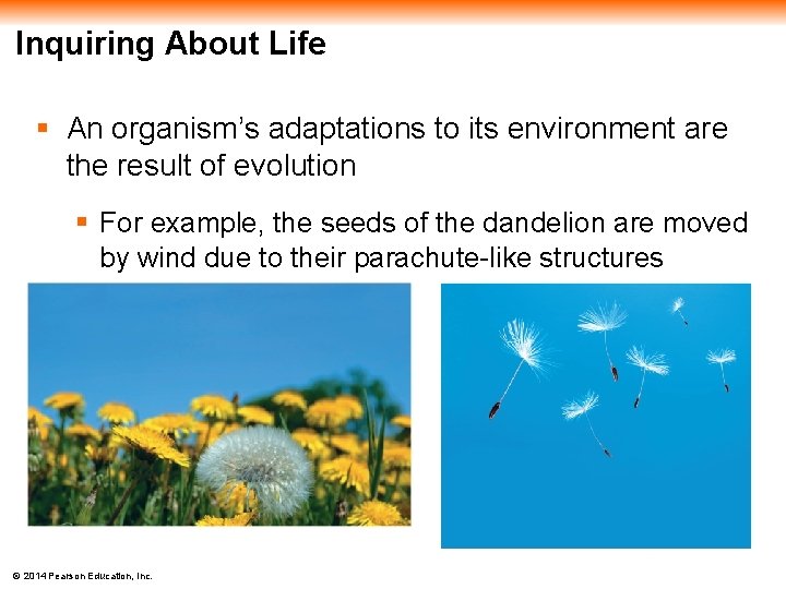 Inquiring About Life § An organism’s adaptations to its environment are the result of
