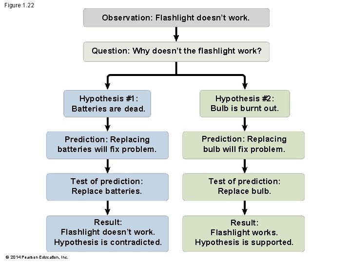 Figure 1. 22 Observation: Flashlight doesn’t work. Question: Why doesn’t the flashlight work? Hypothesis