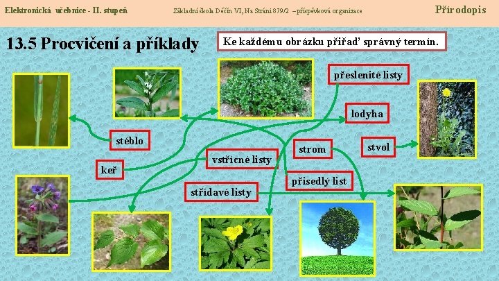 Elektronická učebnice - II. stupeň Přírodopis Základní škola Děčín VI, Na Stráni 879/2 –