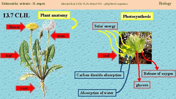 Elektronická učebnice - II. stupeň 13. 7 CLIL Biology Základní škola Děčín VI, Na
