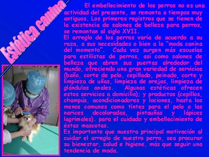 El embellecimiento de los perros no es una actividad del presente, se remonta a