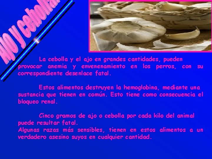 La cebolla y el ajo en grandes cantidades, pueden provocar anemia y envenenamiento en