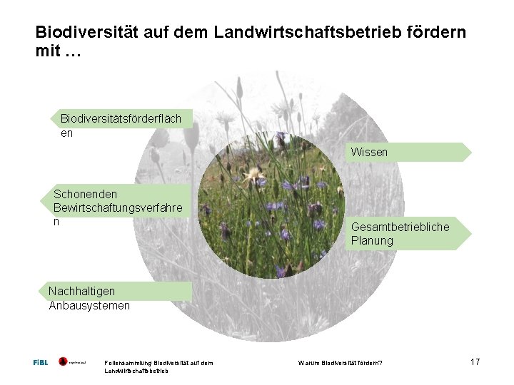 Biodiversität auf dem Landwirtschaftsbetrieb fördern mit … Biodiversitätsförderfläch en Wissen Schonenden Bewirtschaftungsverfahre n Gesamtbetriebliche