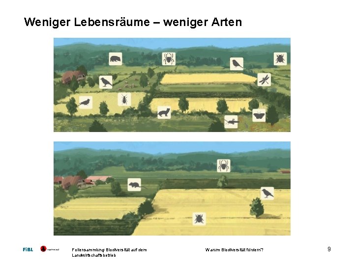 Weniger Lebensräume – weniger Arten Foliensammlung Biodiversität auf dem Landwirtschaftsbetrieb Warum Biodiversität fördern? 9